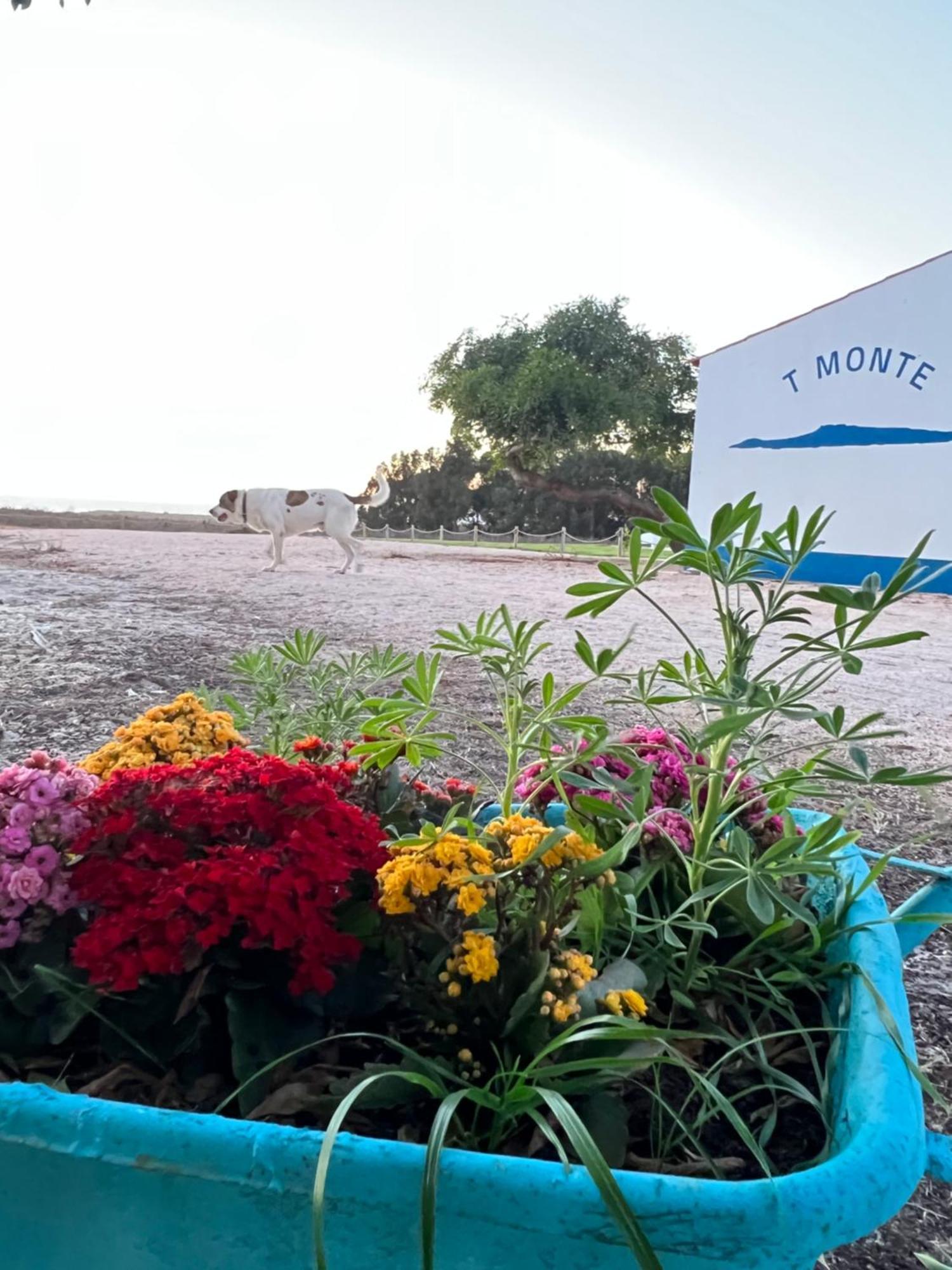 T Monte Villa Porto Covo Exterior foto